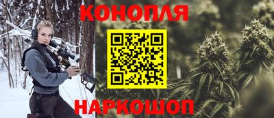 МДПВ Кингисепп