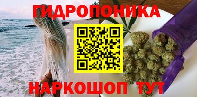 МДПВ Кингисепп