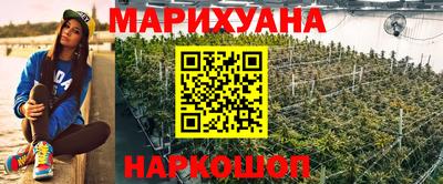 МДПВ Кингисепп