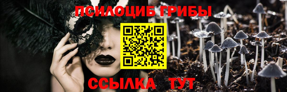 Донецк  Псилоцибиновые грибы ЛСД  Псилоцибиновые грибы мухоморы  где купить наркотик  Вход с VPN 